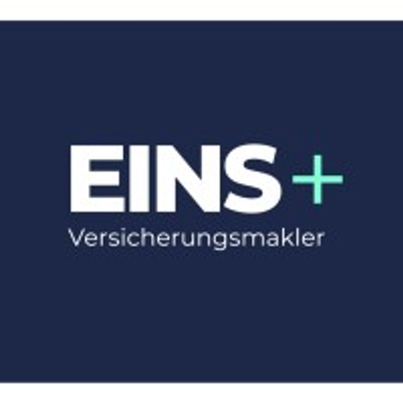 Einsplus Logo