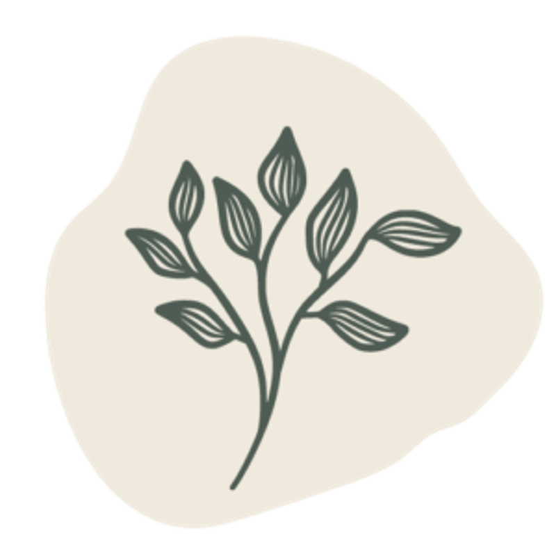 Eira Heilpraktikerschule Logo