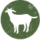 Ekokoza Logo