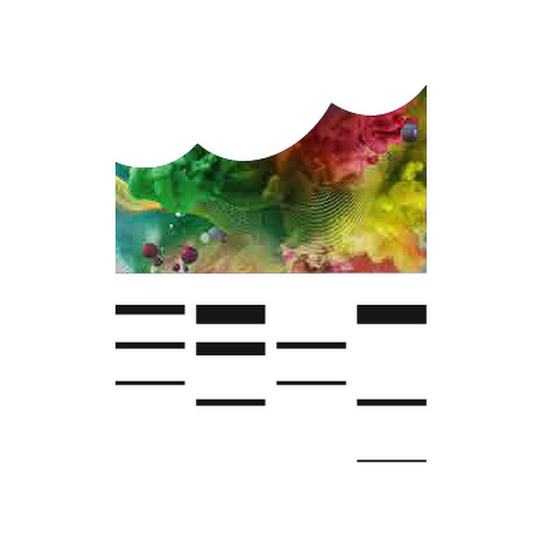 Elbphilharmonie Hamburg Logo