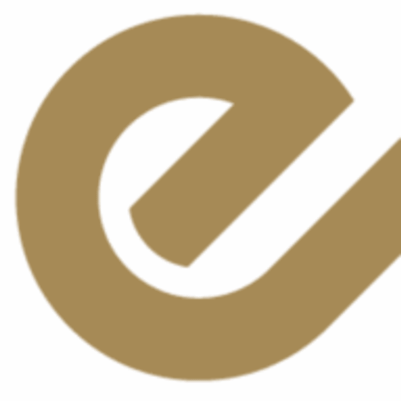 Enes Özkaya Logo