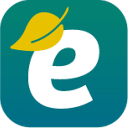 Enisay Logo