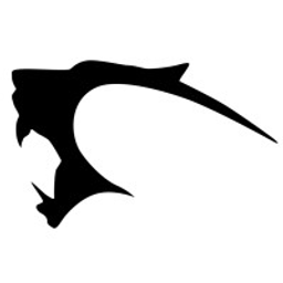 Enyo Fightwear Logo