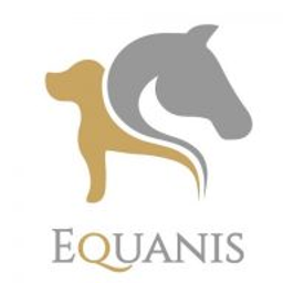 Equanis Logo