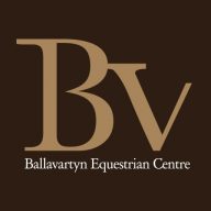 Equestrian Ballavartyn Logo