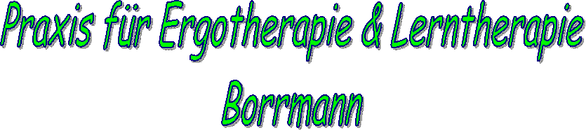 Borrmann Logo