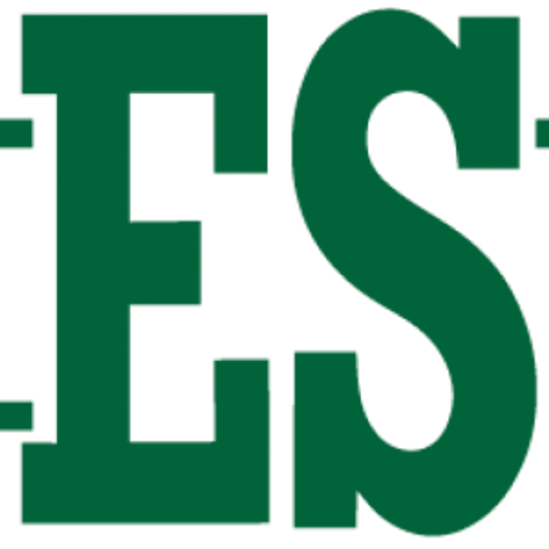 ES Planen Logo