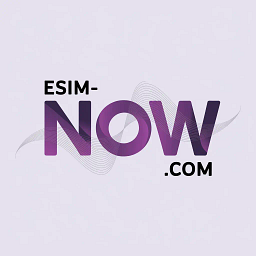 eSIM Now Logo