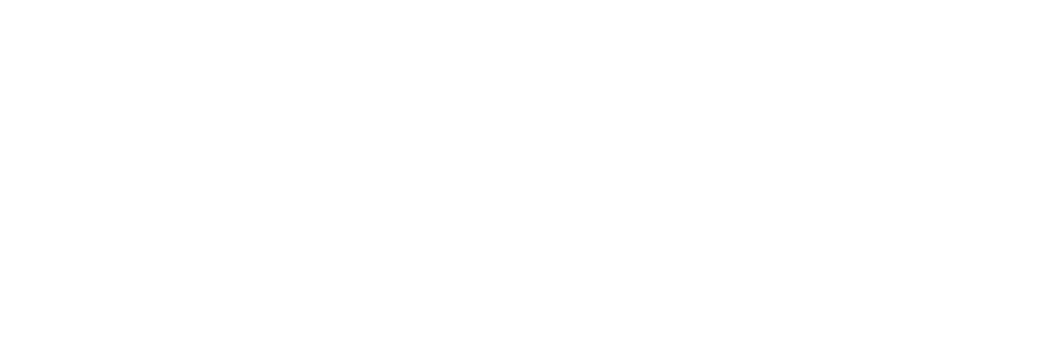 Aero-E e-sim ft. SIM2ROAM Logo