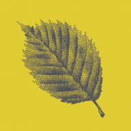 Weingut Espenhof Logo