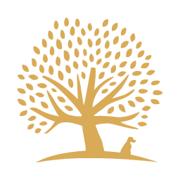 ESSENTIAL FOODS Logo