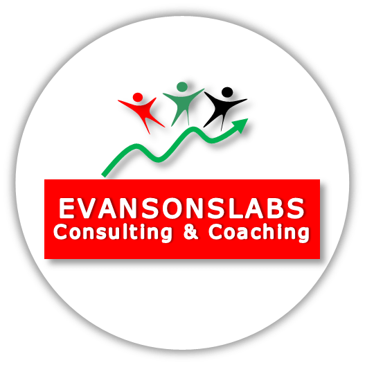 Evansonslabs Consulting and Coaching Wirtschaftsberatung Logo