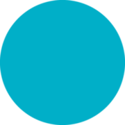 everve Logo