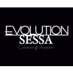 evolutionsessa.com Logo