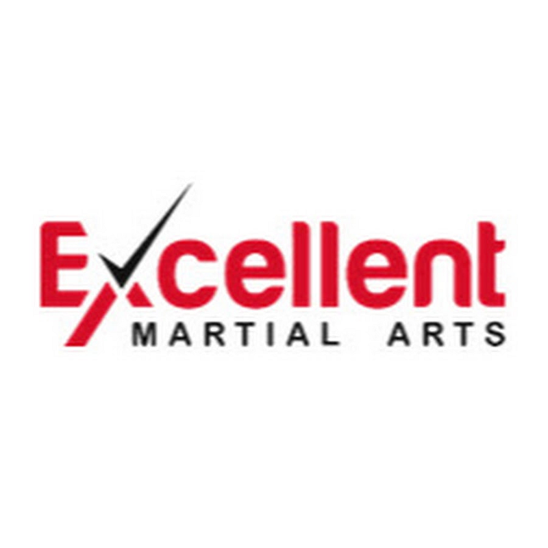 Excellent Martial Arts Logo