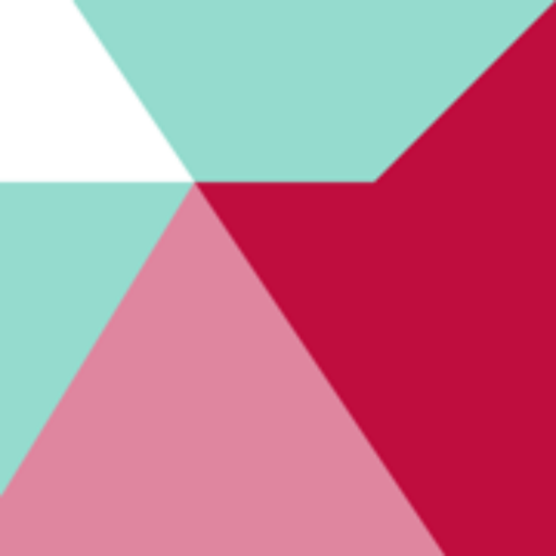 Ex Libris AG Logo