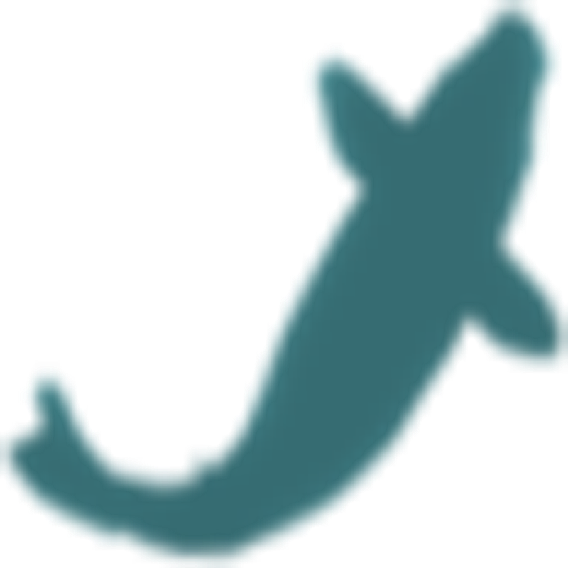 Expert Bassin Logo