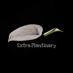Extra.Plantinary Logo