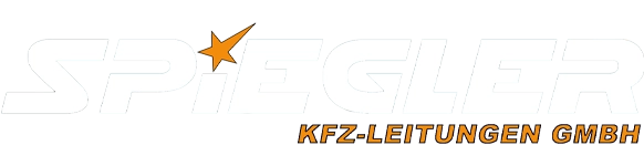 fabian-spiegler.de Logo