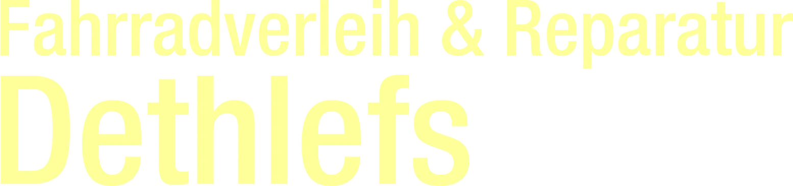Fahrradverleih u. Reparatur Jochen Dethlefs Logo
