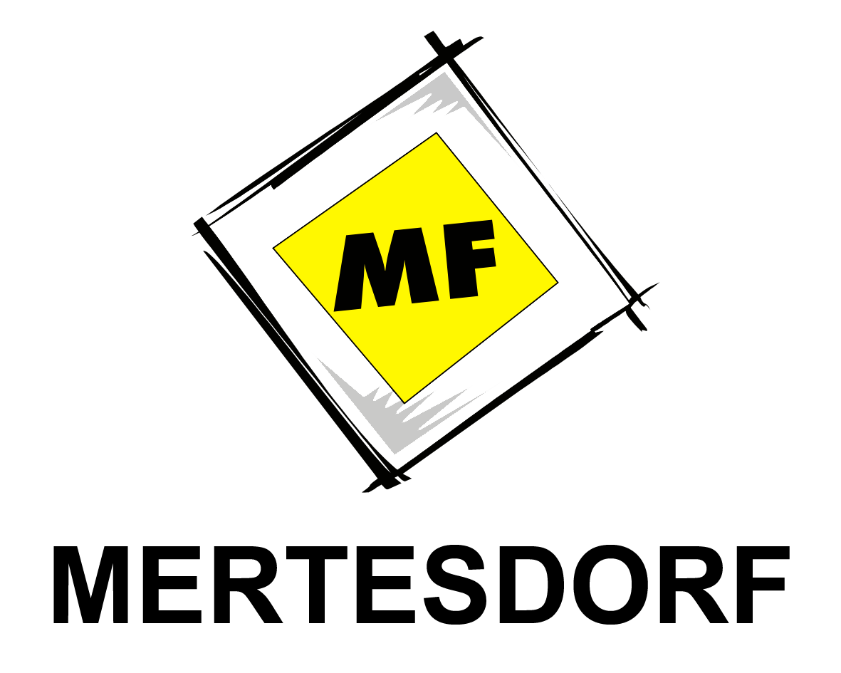 Feile Martin Fahrschule Logo