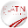 Fahrschule Platin Logo