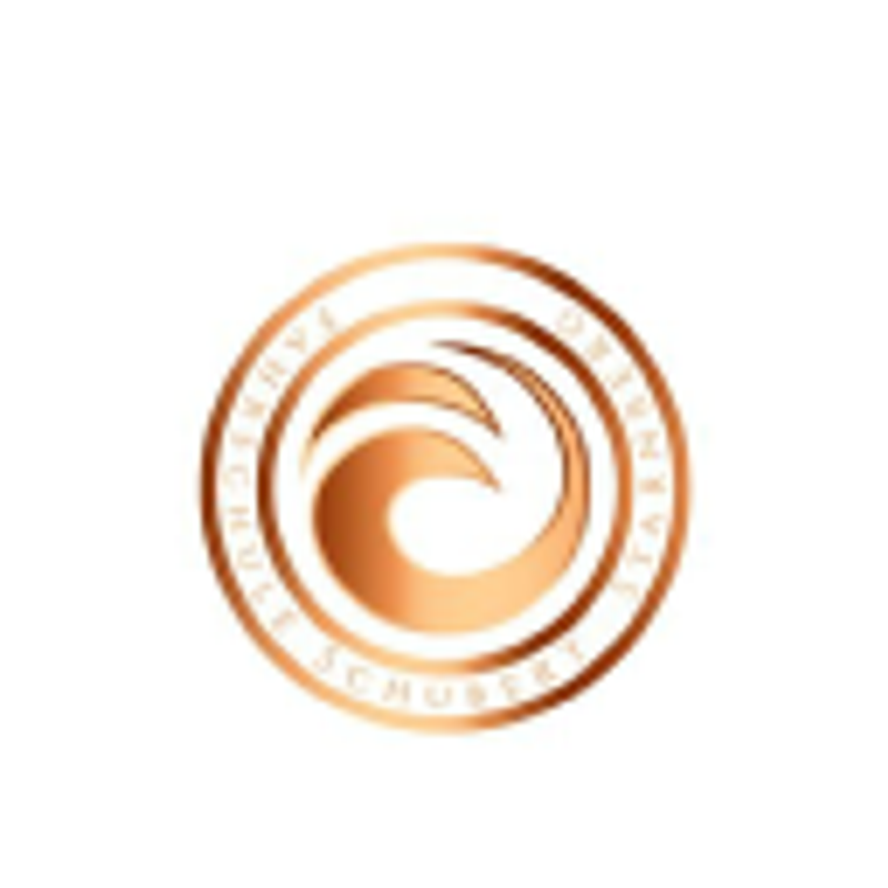 Fahrschule Schubert Starnberg Logo