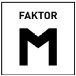 FAKTOR M Consulting GmbH Logo