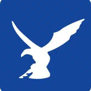 Falcon Technology Logo