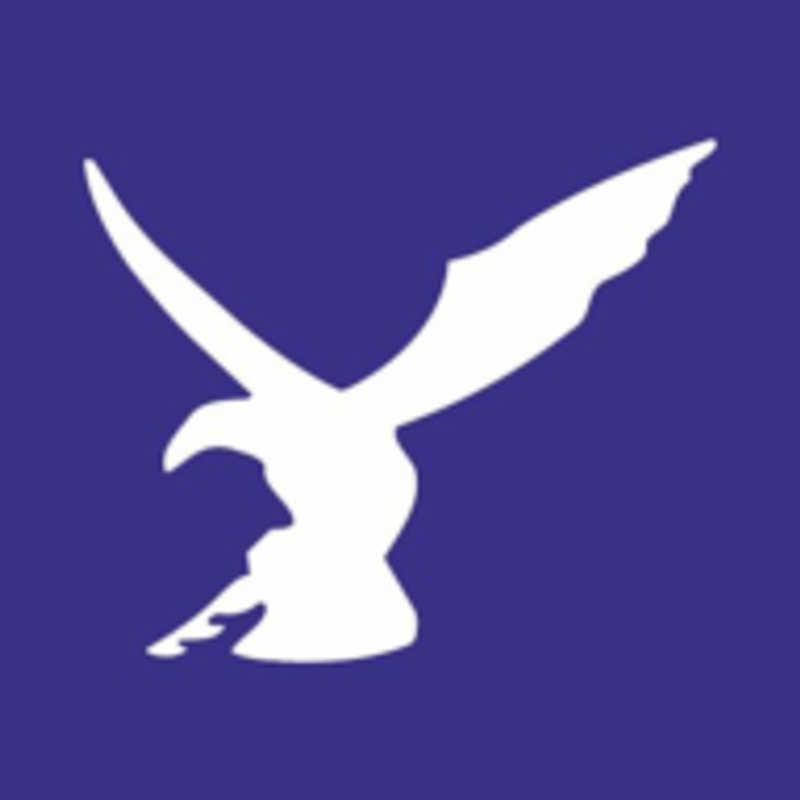 Falcontechnology Logo