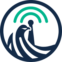 FALKENFUNK Consulting Logo
