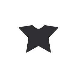 Fashion Chingu Logo