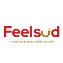 Feelsud Logo