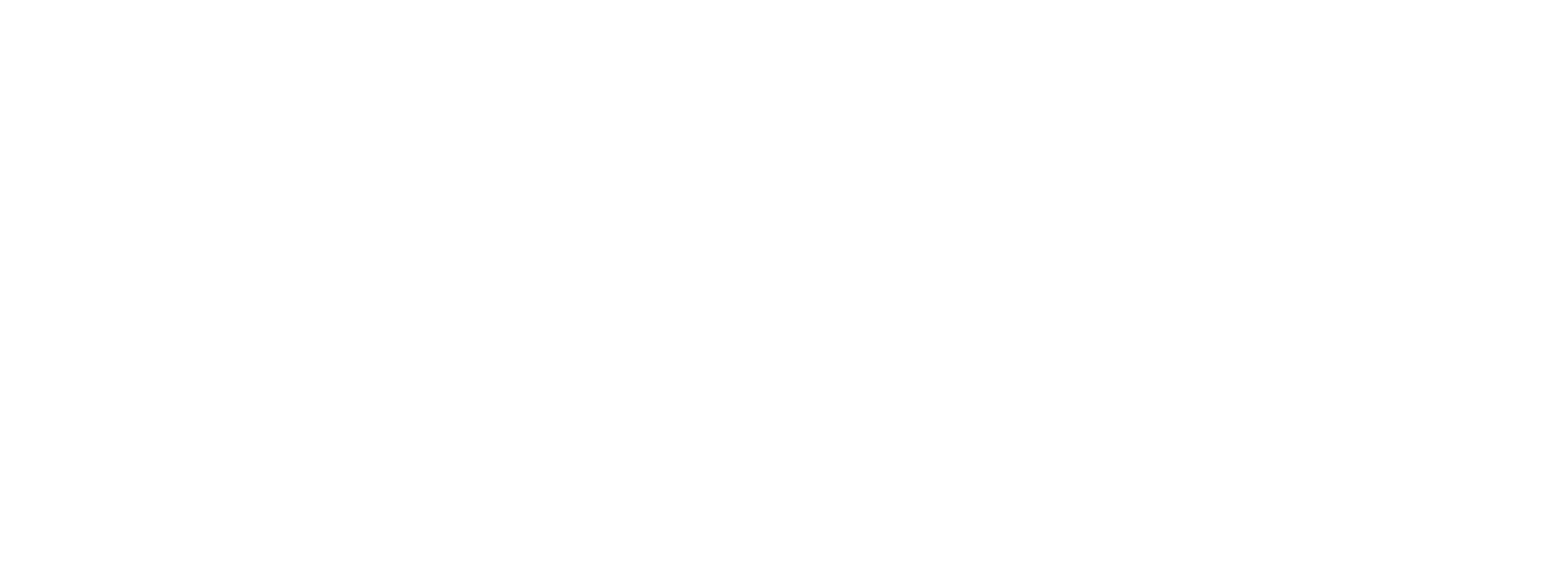 FELIX Werbeagentur Logo
