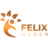 Felixhuber Coaching Logo
