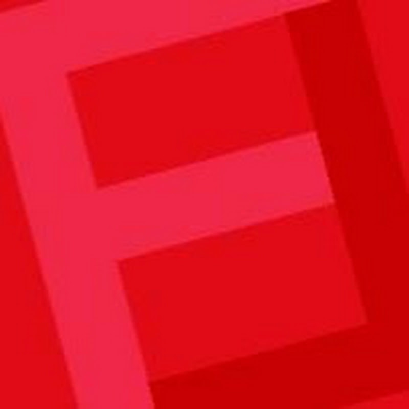 fenstermaxx24.com Logo