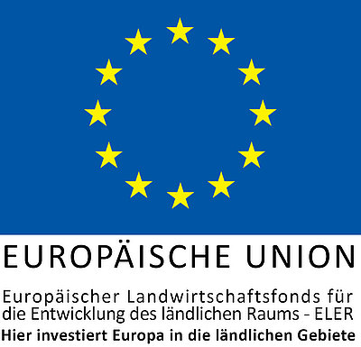 Heins Ferienhof Mathias und Constance Kutschfahrten Pension u. Ferienwohnungen Logo