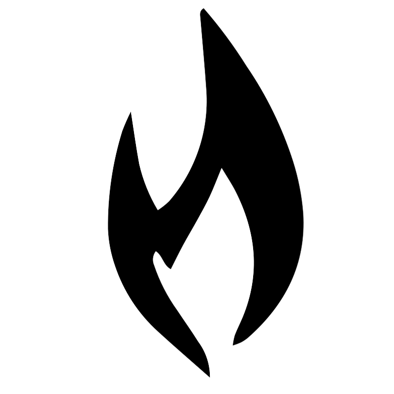 Feuersteincars Logo
