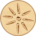 fewo-carolinchen 2 Logo