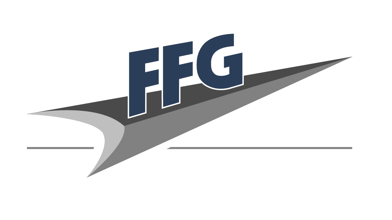 Flug-Förderungsgemeinschaft e.V. Braunschweig Logo