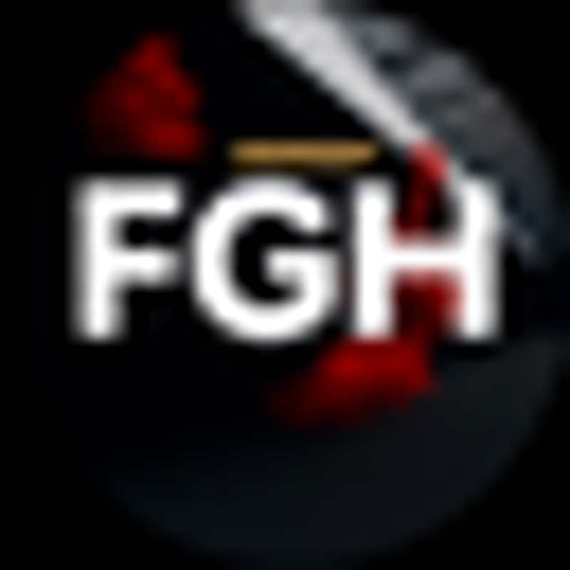 FGH Solutions Switzerland Logo