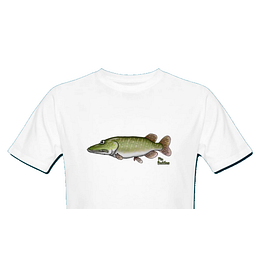 fin-buddies.de Logo