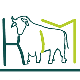 Finanzberatung Schmitz Logo