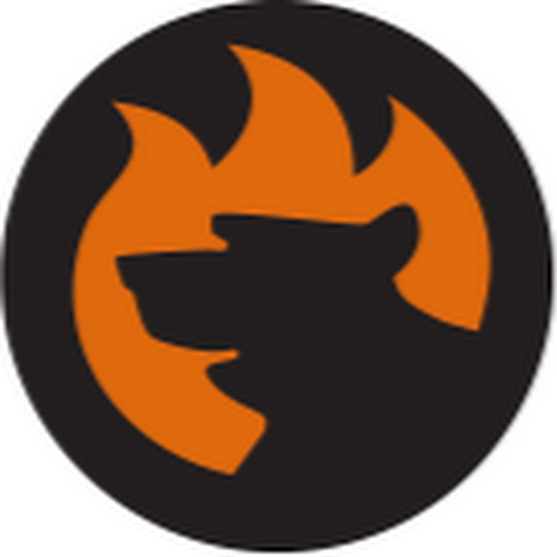 FireBear Studio Logo