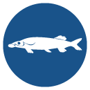 Hotel Fischerwirt Logo