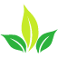 Fisionatura Logo
