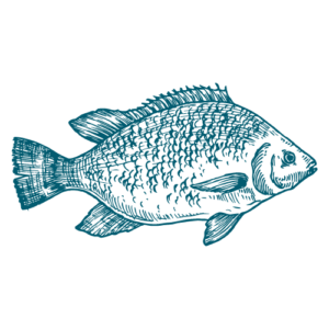 Fiskehuset Thisted Logo