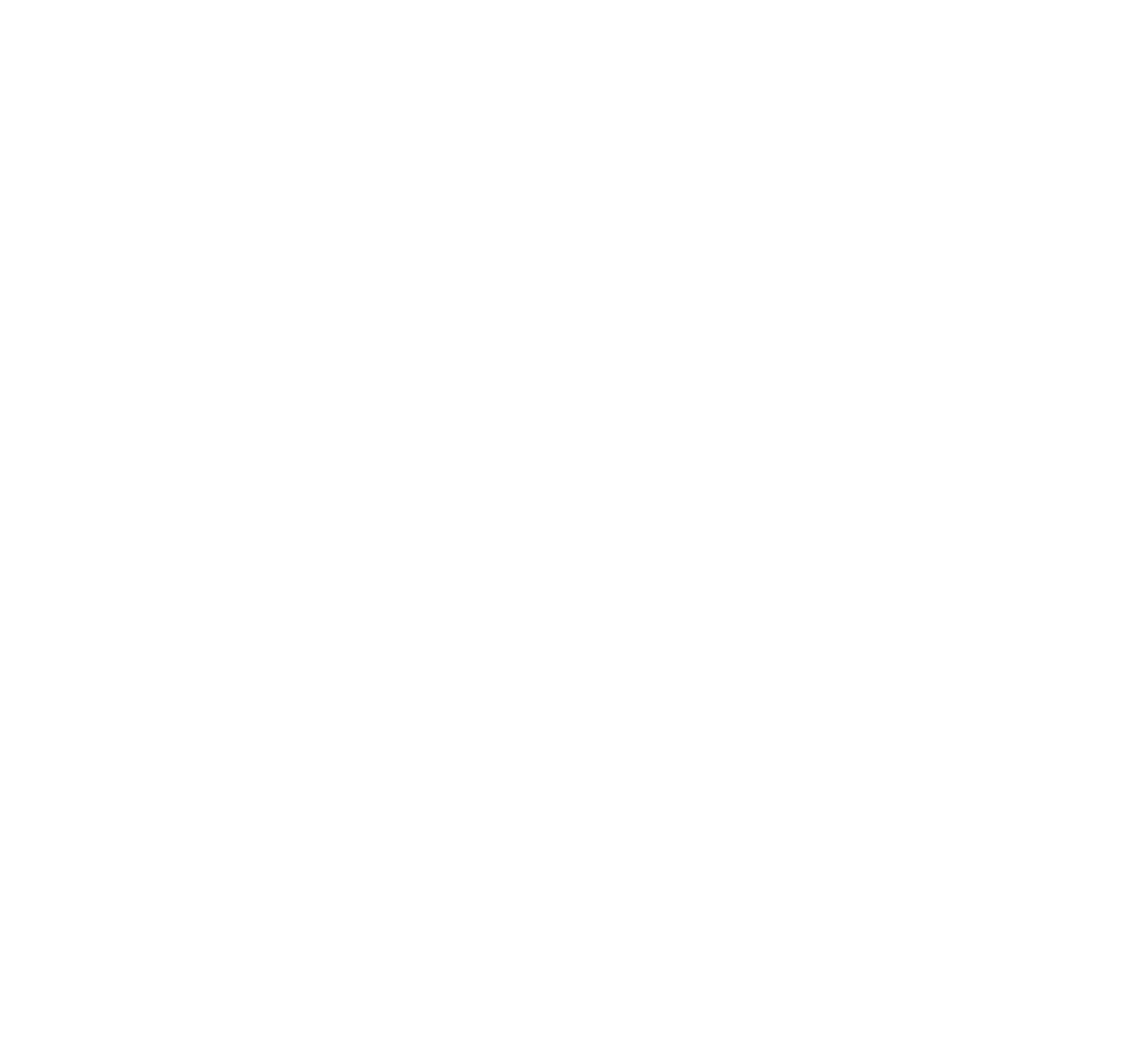 fitne.de Logo