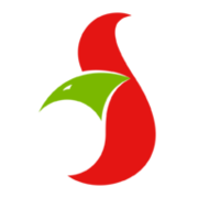 Flach GmbH Logo