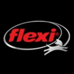 flexi Logo
